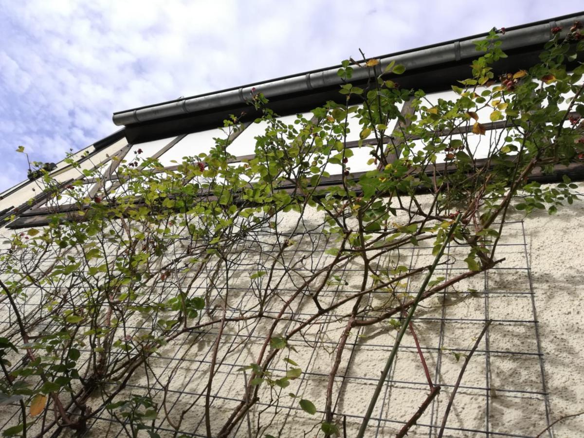 Praesenzhof Lay Daire Dış mekan fotoğraf